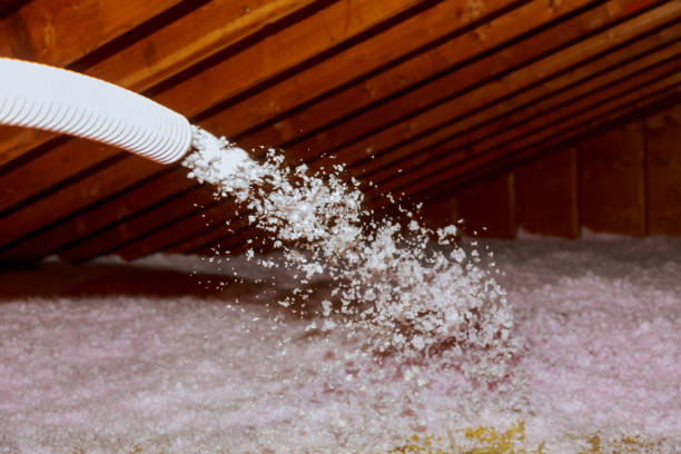 Best Crawl Space Insulation  in Pine Mountain, GA