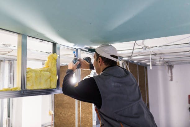 Best Insulation for New Construction  in Pine Mountain, GA