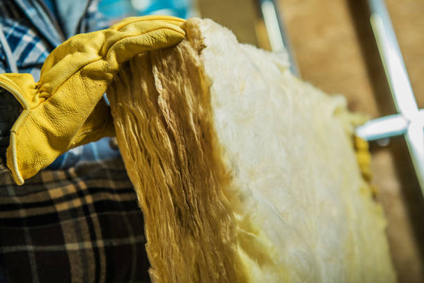 Best Insulation Contractors for Homes  in Pine Mountain, GA