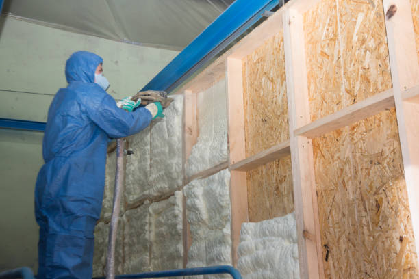 Best Cellulose Insulation  in Pine Mountain, GA